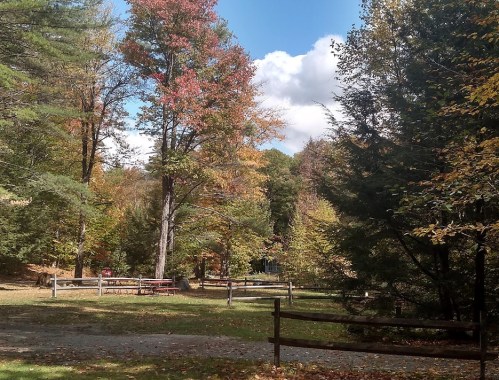 A serene park scene with colorful autumn trees, a clear blue sky, and a wooden fence in the foreground.