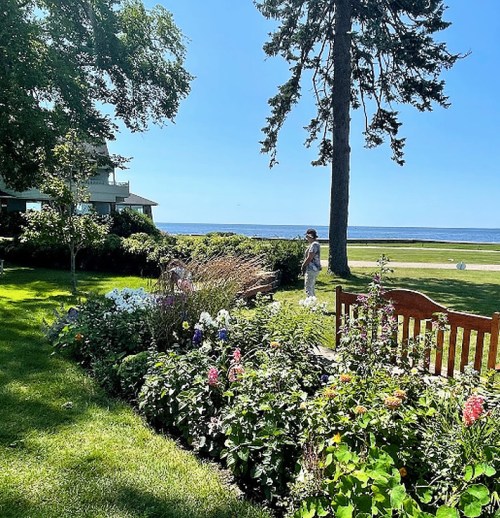 A sunny garden with colorful flowers, a bench, and a person walking by the water in the background.