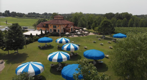 Aerial view of a restaurant with blue and white umbrellas on a green lawn, surrounded by trees and a vineyard.