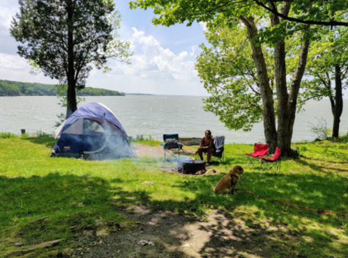 A campsite by a lake with a tent, chairs, a campfire, and a dog, surrounded by trees and a sunny sky.