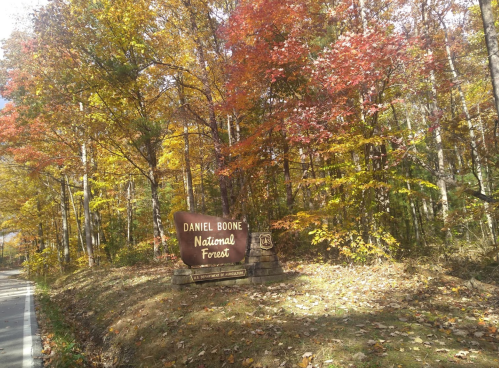 Sign for Daniel Boone National Forest surrounded by vibrant autumn foliage and trees.