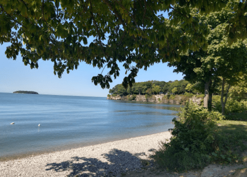 A serene lakeside view with calm water, a pebbly shore, and lush green trees under a clear blue sky.
