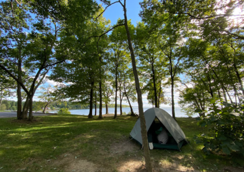 A tent nestled among trees by a lake, with a clear blue sky and sunlight filtering through the leaves.