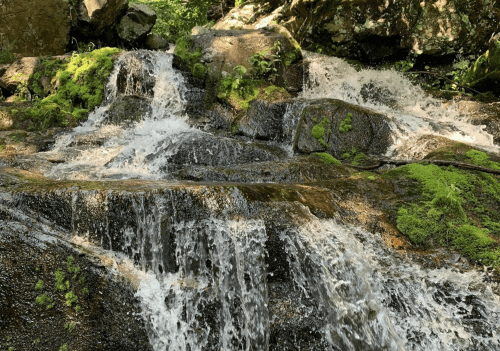 A serene waterfall cascading over moss-covered rocks in a lush, green forest.