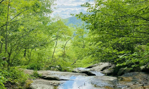 Lush green forest with a stream flowing over rocks, framed by trees and mountains in the background under a cloudy sky.