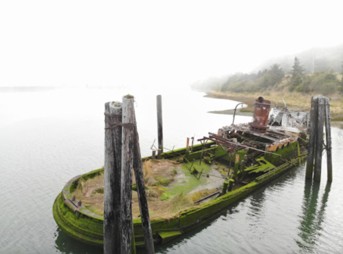 A foggy scene of a dilapidated, moss-covered shipwreck moored in calm waters, surrounded by overgrown vegetation.