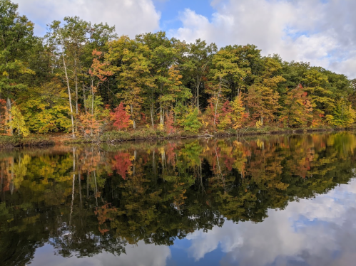 A serene lake reflecting colorful autumn trees under a partly cloudy sky.