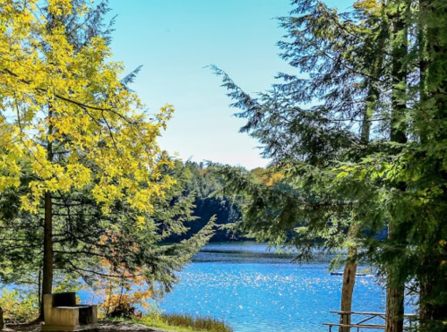 A serene lake surrounded by trees with autumn foliage under a clear blue sky.