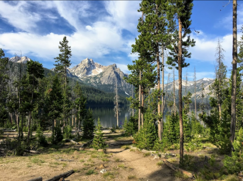 A scenic view of a forested landscape with mountains and a lake under a blue sky with scattered clouds.