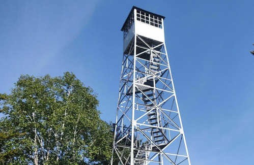 A tall metal observation tower against a clear blue sky, surrounded by green trees.
