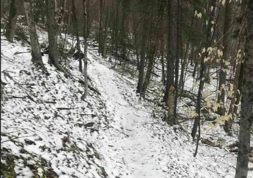 A snowy path winding through a forest with bare trees and patches of snow on the ground.