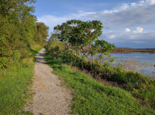 A gravel path lined with greenery, leading to a calm body of water under a partly cloudy sky.