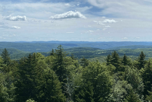 A panoramic view of lush green hills and trees under a partly cloudy sky.