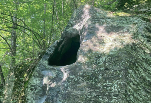 A large rock with a hollowed-out section, surrounded by lush green trees and foliage.