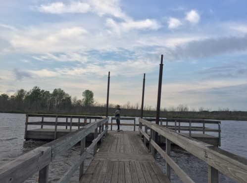 A person stands on a wooden dock overlooking a calm river under a cloudy sky. Trees line the distant shore.