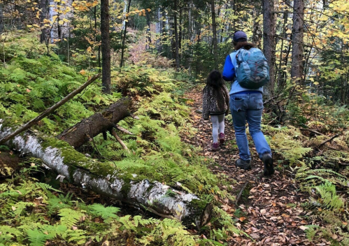 A person and a child walk along a forest trail surrounded by lush greenery and autumn leaves.