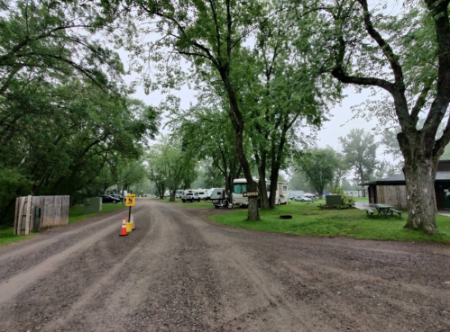 A gravel road lined with trees leads to a campground with RVs and picnic areas in a misty atmosphere.