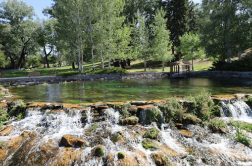 A serene park scene featuring a clear stream flowing over rocks, surrounded by lush green trees and a gazebo in the background.