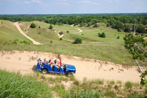 A blue off-road vehicle drives through sandy terrain with passengers enjoying the scenic green landscape.