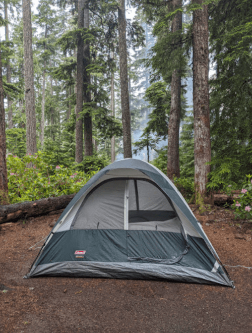 A camping tent set up in a lush forest with tall trees and greenery surrounding it.