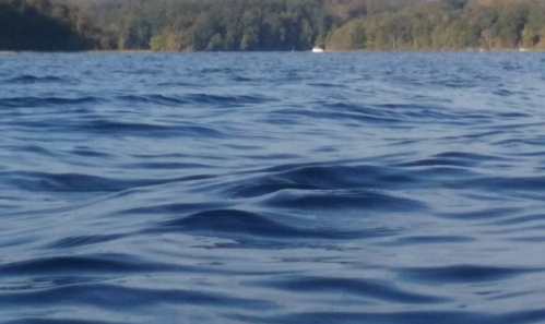Calm water surface with gentle ripples, reflecting trees and a distant boat on a serene lake.