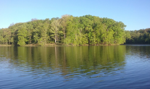 A serene lake scene with lush green trees reflecting on the calm water under a clear blue sky.