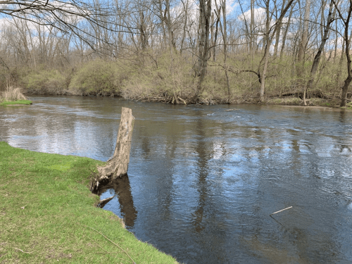 A calm river flows through a lush green landscape, with trees lining the banks and a wooden stump in the foreground.