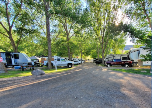 A gravel road lined with RVs and trucks, surrounded by tall trees and greenery in a camping area.