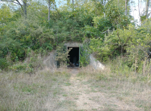 An overgrown entrance to a concrete bunker surrounded by trees and tall grass.