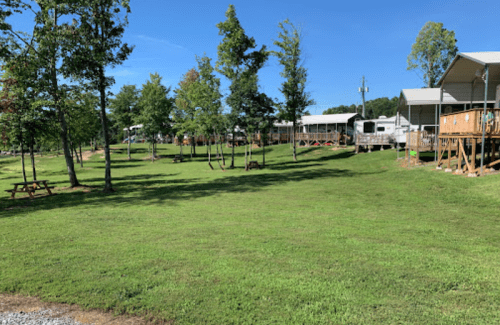 A sunny outdoor area with green grass, trees, and picnic tables, featuring buildings in the background.