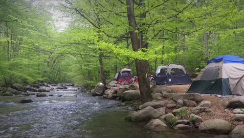 A serene campsite by a flowing river, surrounded by lush green trees and rocky terrain. Tents are set up nearby.