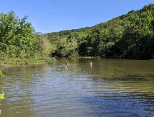 Two people paddle on a calm river surrounded by lush green trees and hills under a clear blue sky.