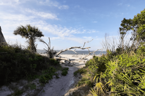 A sandy path leads to a beach, framed by trees and shrubs under a blue sky with scattered clouds.