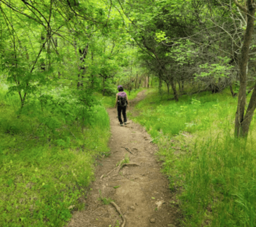 A person walks along a dirt path through a lush green forest, surrounded by trees and foliage.