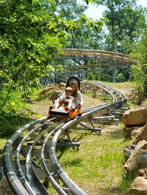 A child and an adult ride a mountain coaster on a sunny day, surrounded by trees and rocky terrain.