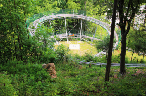 A winding roller coaster track surrounded by lush green trees and foliage in a natural setting.