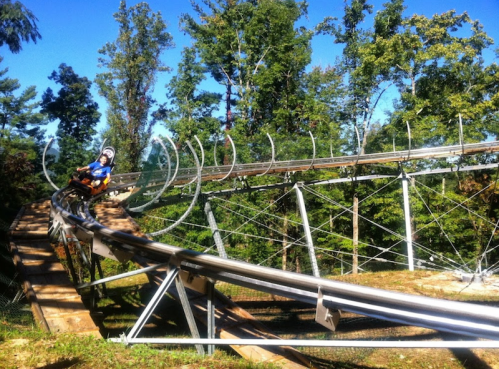 A person rides a mountain coaster on a winding track surrounded by trees under a clear blue sky.