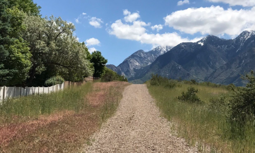 A gravel path leads through green grass and trees, with mountains and a blue sky in the background.