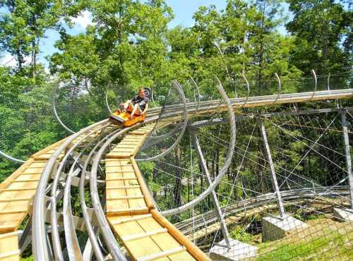 A person rides a roller coaster on a wooden track surrounded by trees on a sunny day.