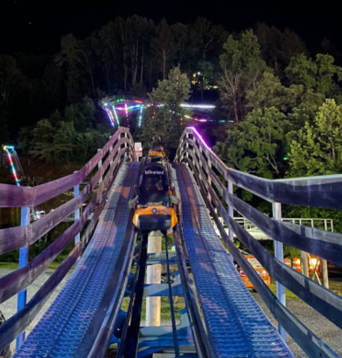 A roller coaster track illuminated by colorful lights at night, surrounded by trees.