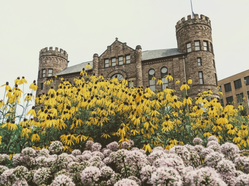 Historic building with towers surrounded by vibrant yellow and purple flowers in the foreground.