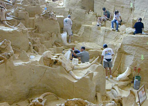 Researchers excavate fossils in a sandy, rocky area, surrounded by large bone structures and tools.