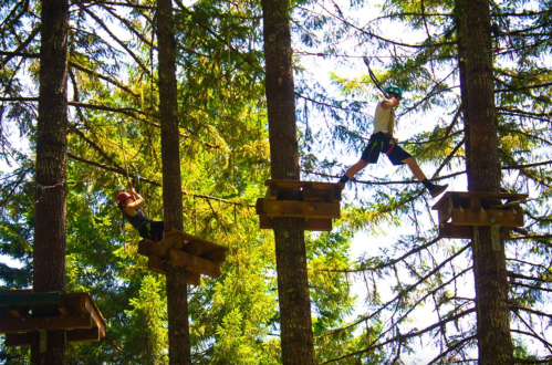 Two people navigate a high ropes course among tall trees, balancing on wooden platforms. Sunlight filters through the leaves.