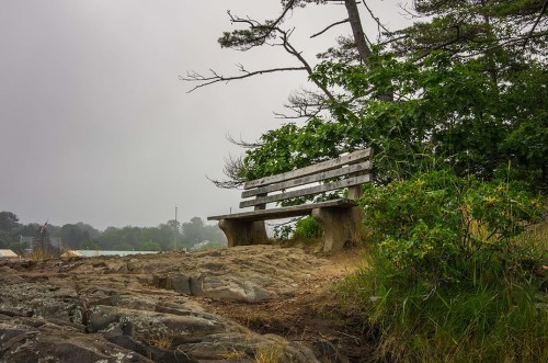 A wooden bench on a rocky shore, surrounded by greenery, with a foggy landscape in the background.