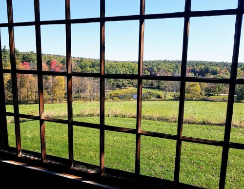 View through a large window showcasing a vibrant landscape with trees and a pond under a clear blue sky.