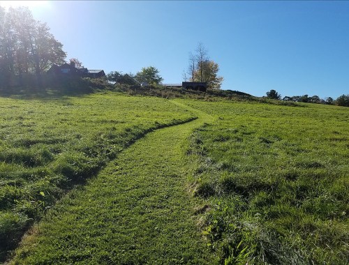 A winding path through a lush green field, leading towards distant trees and buildings under a clear blue sky.