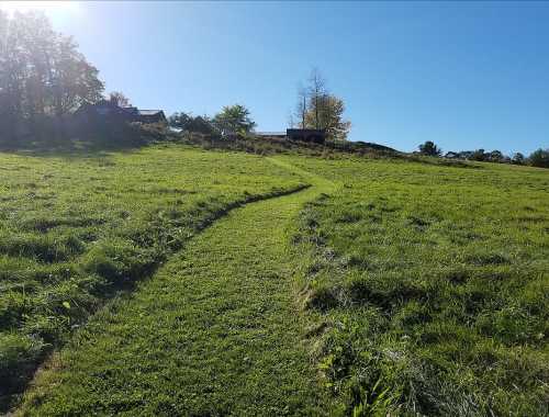 A winding path through a lush green field, leading towards distant trees and buildings under a clear blue sky.