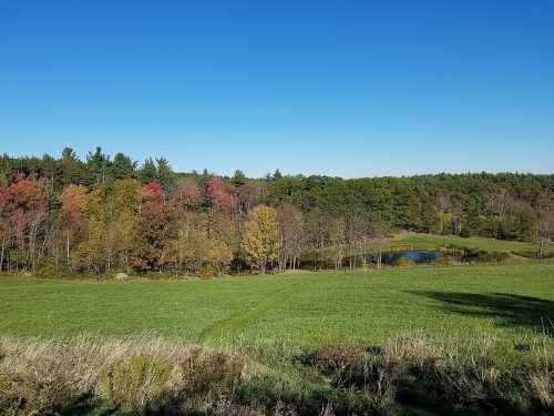 A serene landscape featuring green fields, colorful autumn trees, and a small pond under a clear blue sky.