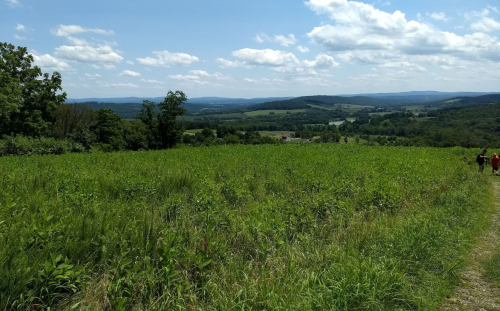 A scenic view of rolling hills and a lush green field under a bright blue sky with fluffy clouds.