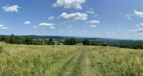 A panoramic view of rolling hills and fields under a blue sky with fluffy clouds. A dirt path leads through the grass.